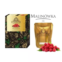 Zaprawka Profimator 300ml Malinowa