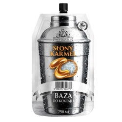 Zaprawka Profimator 250ml Słony Karmel