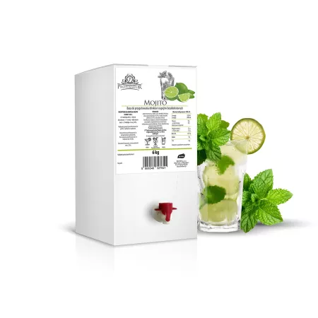 Koncentrat Profimatro MOJITO Box 6kg